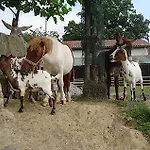 La Ferme Des 4 Chenes 3*