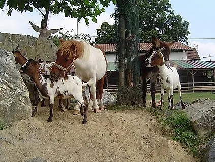 La Ferme Des 4 Chenes 3*